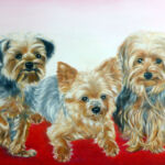 Jade, Pip and Jet Jarvis