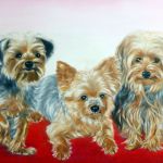 Jade, Pip and Jet Jarvis